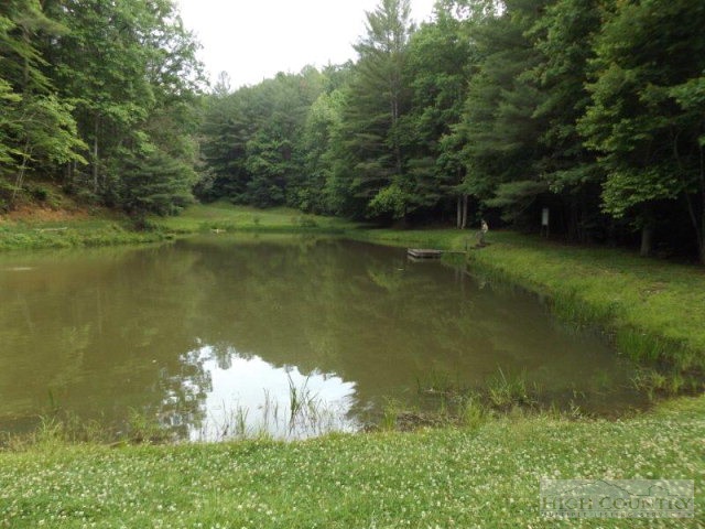 48 West Ridge Ferguson, NC 28624 - Photo 2 of 3 a view of a lake with a yard and large trees
