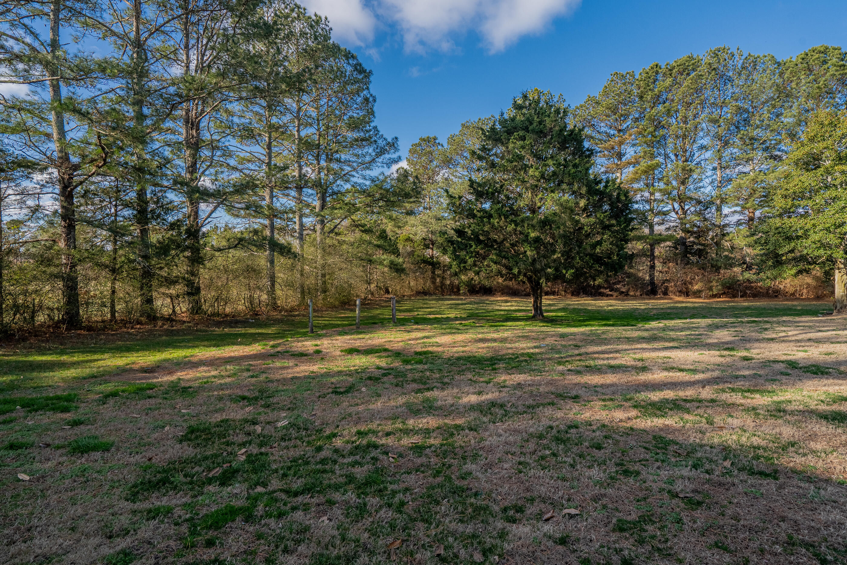 3778 Prospect Road Cohutta, GA 30710 - Photo 7 of 28 littleprospectrdoutdoors-10