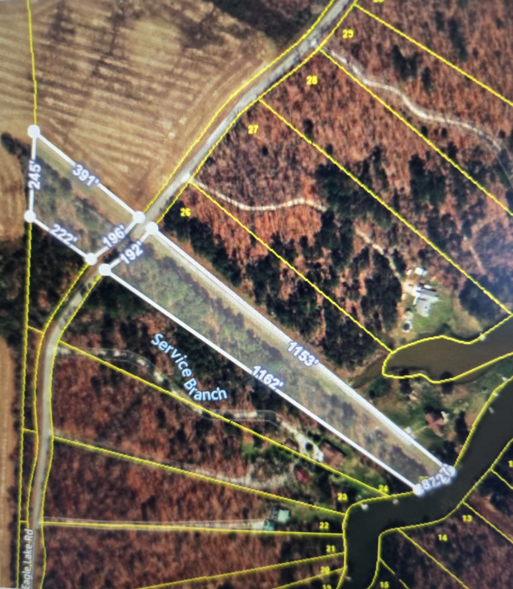 0 Eagle Lake Road Coalmont, TN 37313 - Photo 2 of 6 a black and white checkered floor