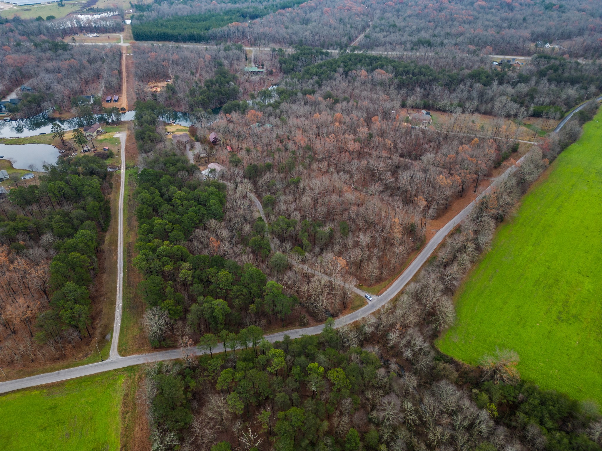 0 Eagle Lake Road Coalmont, TN 37313 - Photo 3 of 6 a view of a yard with large trees