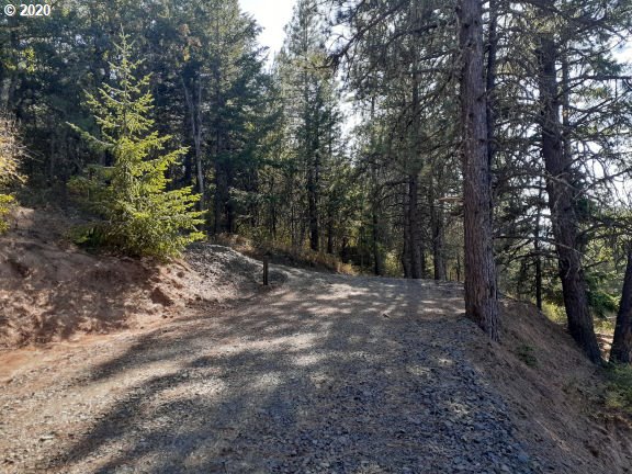 2101 Further Valley Road Mosier, OR 97040 - Photo 2 of 9 Gallery Image 2