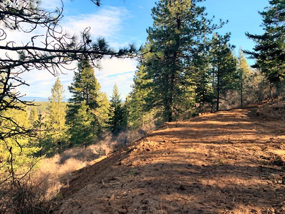 2101 Further Valley Road Mosier, OR 97040 - Photo 3 of 9 Gallery Image 3