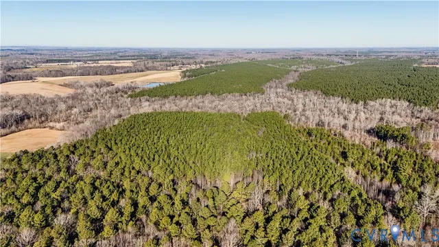 a view of a lake with a tree