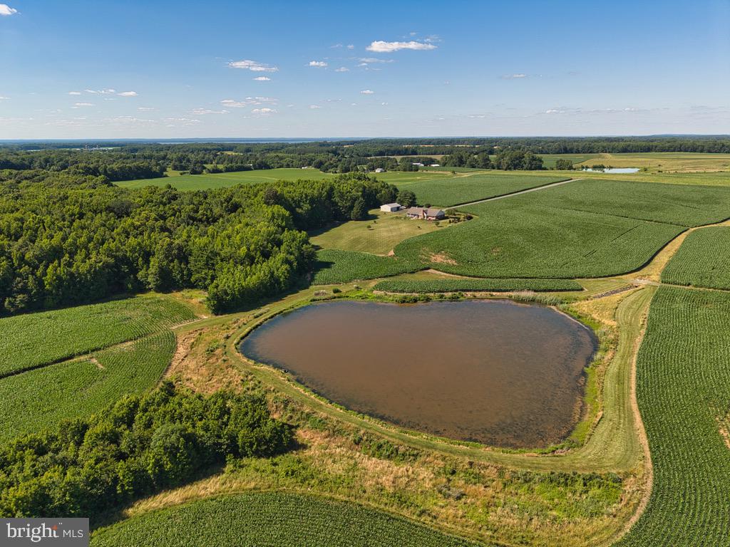 11500 Possum Hollow Road Worton, MD 21678 - Photo 17 of 81