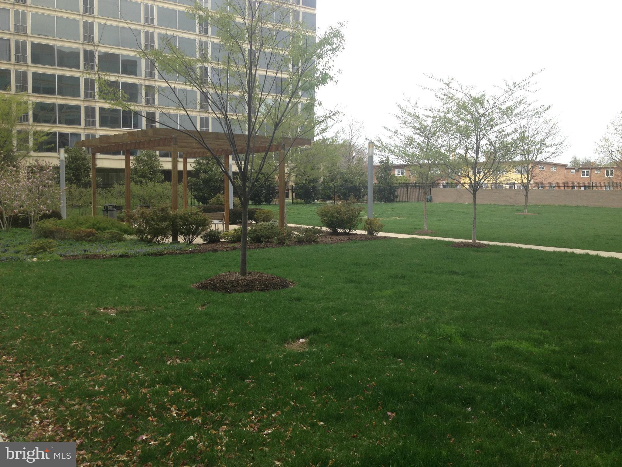 1101 3rd Street Southwest, Unit 312 Washington, DC 20024 - Photo 22 of 30 a garden with trees in front of it
