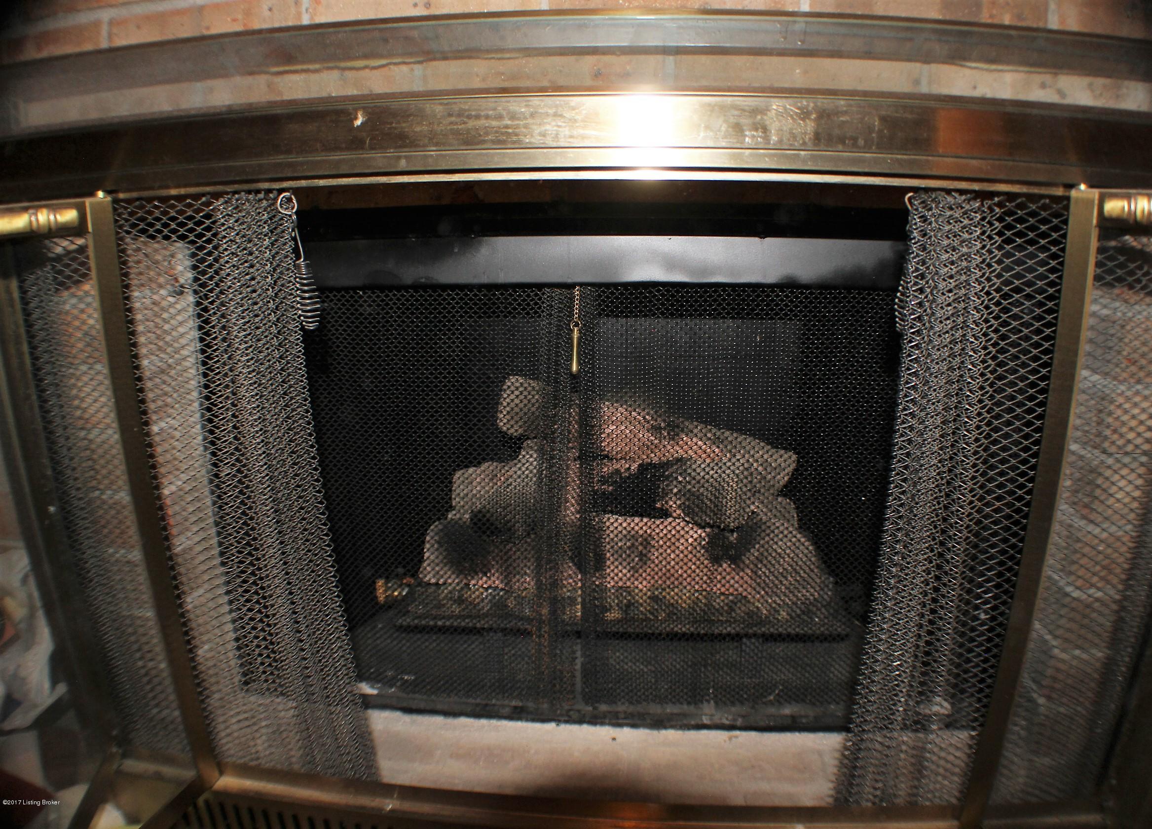 6011 Stone Bluff Road Louisville, KY 40291 - Photo 17 of 54 i Living Room Gas Fireplace insert