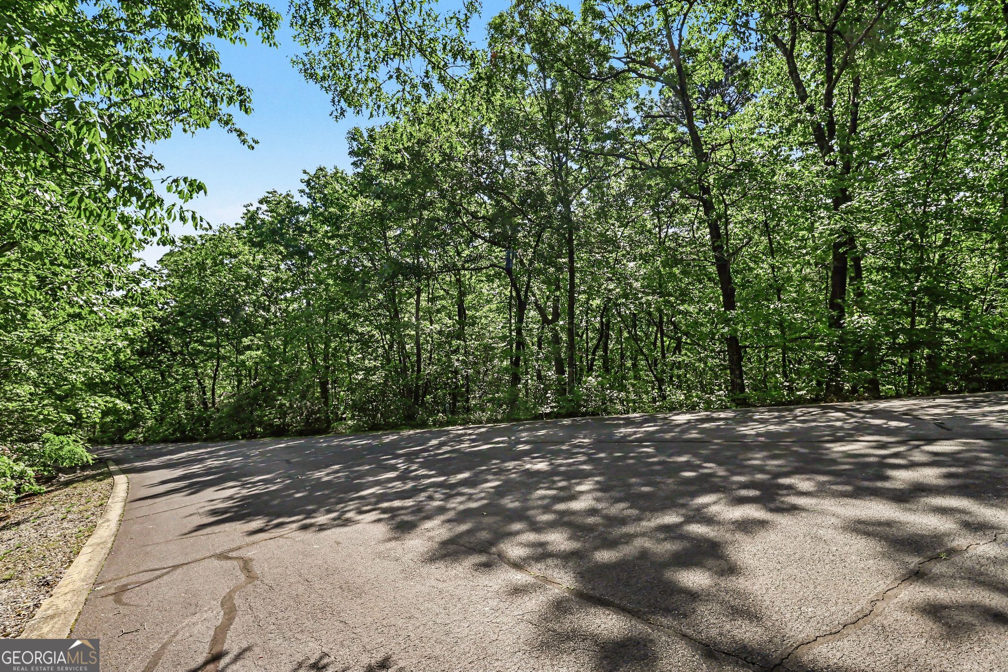 595 Whispering Dale Clarkesville, GA 30523 - Photo 13 of 19