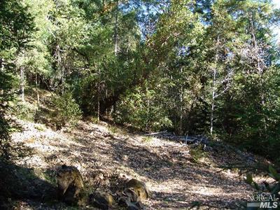0 Reeves Canyon Road Redwood Valley, CA 95470 - Photo 1 of 5 Gallery Image 1