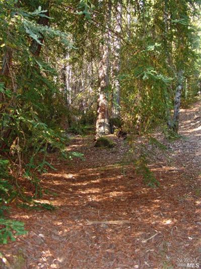 0 Reeves Canyon Road Redwood Valley, CA 95470 - Photo 2 of 5 Gallery Image 2