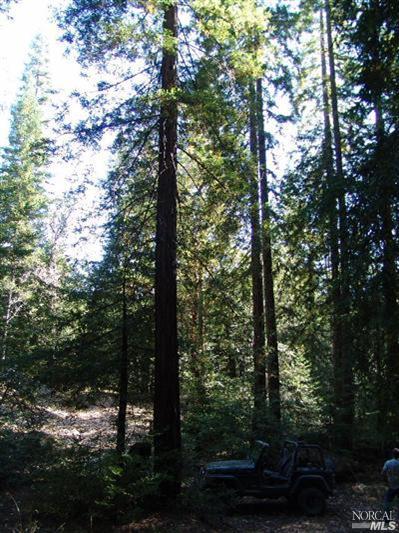 0 Reeves Canyon Road Redwood Valley, CA 95470 - Photo 3 of 5 Gallery Image 3