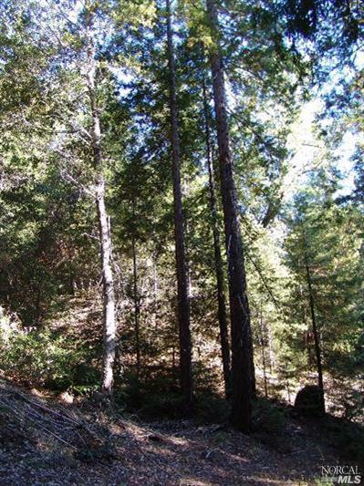 0 Reeves Canyon Road Redwood Valley, CA 95470 - Photo 4 of 5 Gallery Image 4