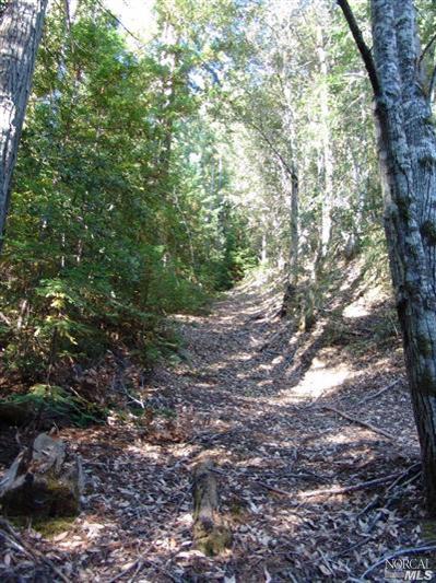 0 Reeves Canyon Road Redwood Valley, CA 95470 - Photo 5 of 5 Gallery Image 5