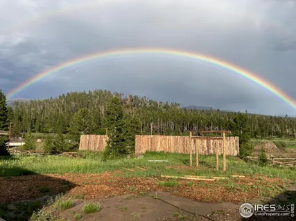 a view of a wooden floor and a potted plant