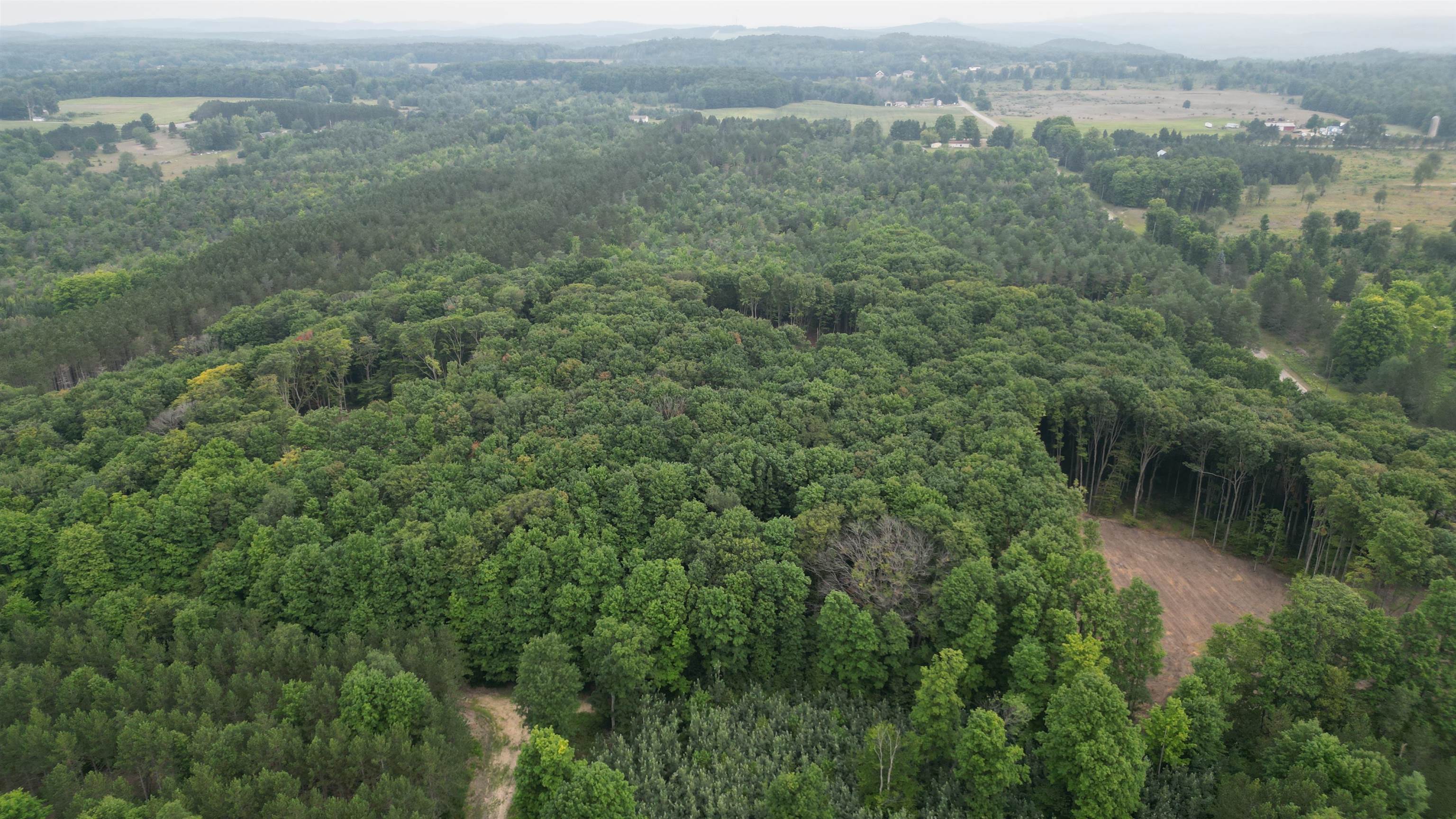1 South Bright Road, Unit LOT: 1 Maple City, MI 49664 - Photo 10 of 11
