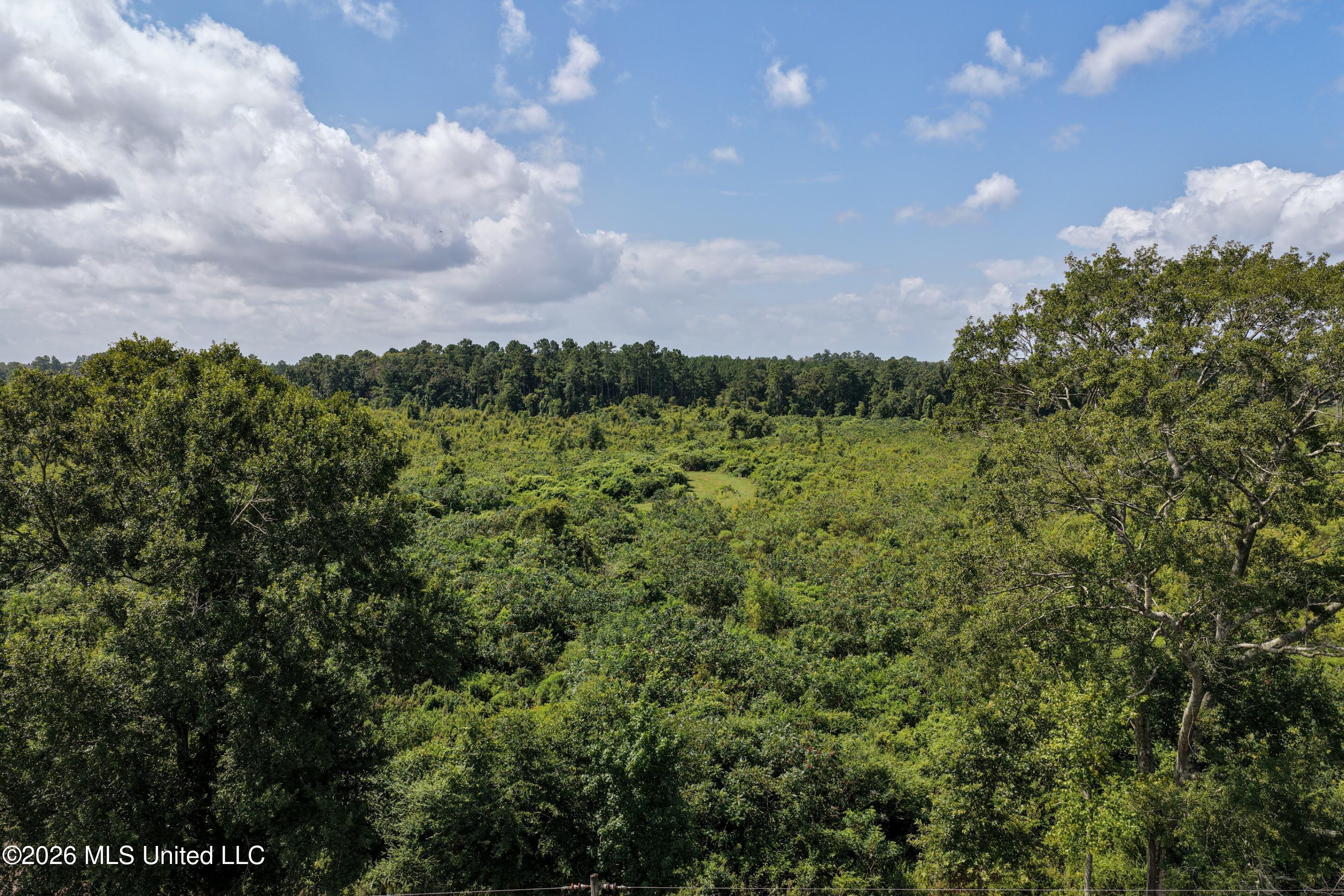 226 Van Holmes Road Tylertown, MS 39667 - Photo 12 of 27 DJI_20260723110843_0111_D