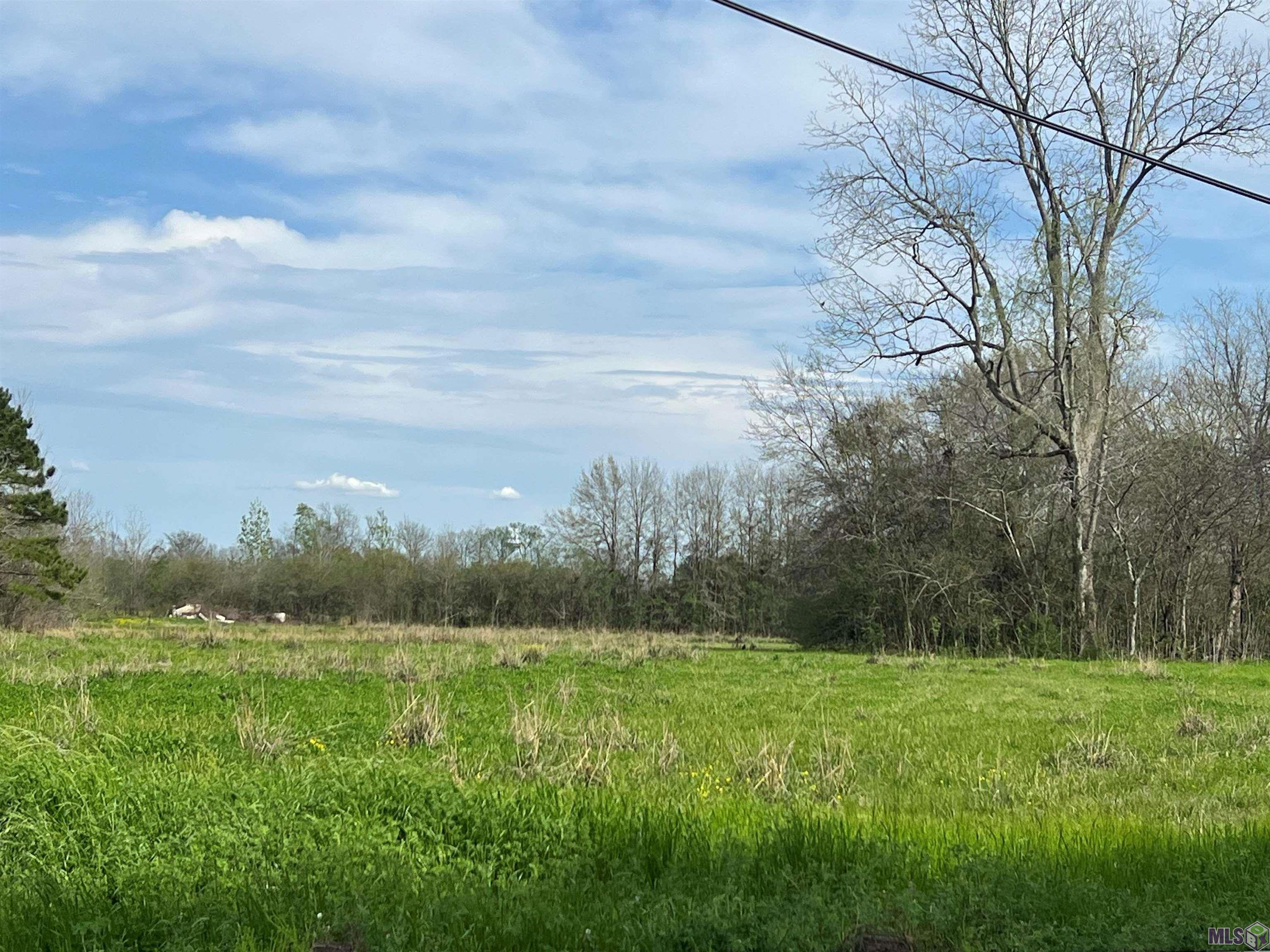 5232 Elm Grove Road Port Allen, LA 70767 - Photo 2 of 4