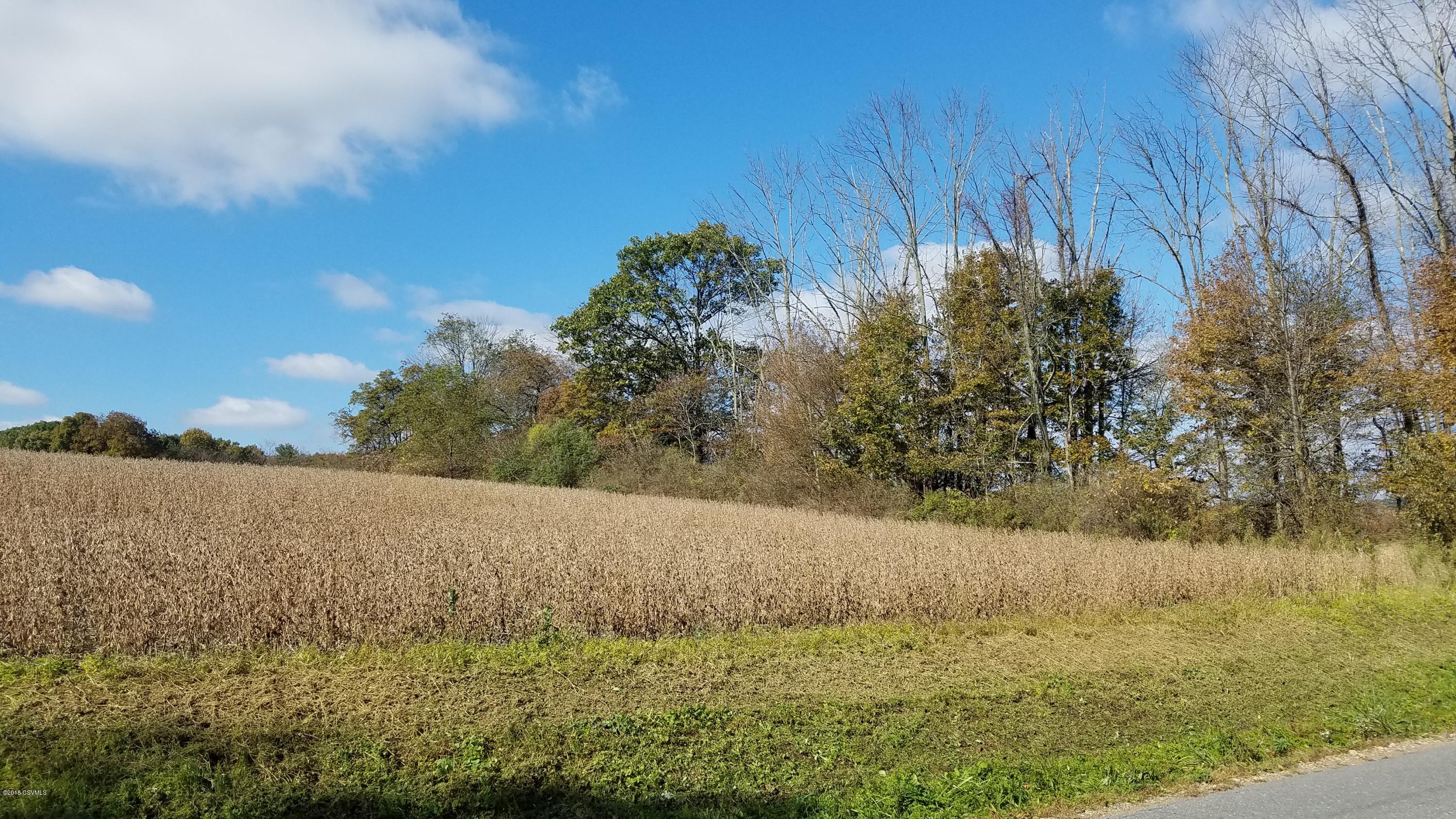 Hosta Road Sunbury, PA 17801 - Photo 4 of 12 Gallery Image 4