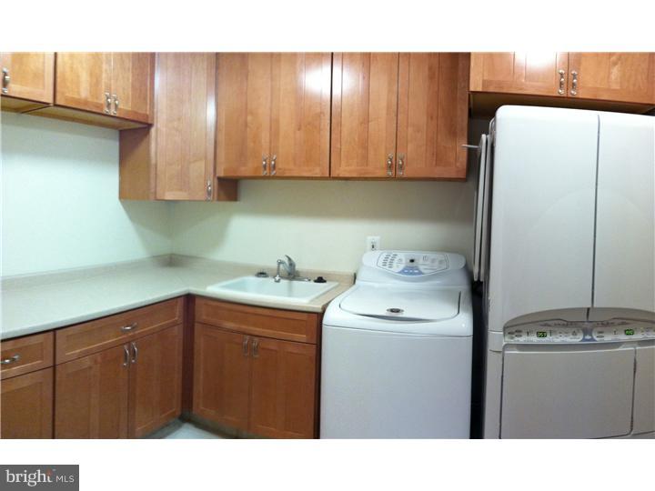 239 Stacey Road Penn Valley, PA 19072 - Photo 17 of 23 Laundry Room
