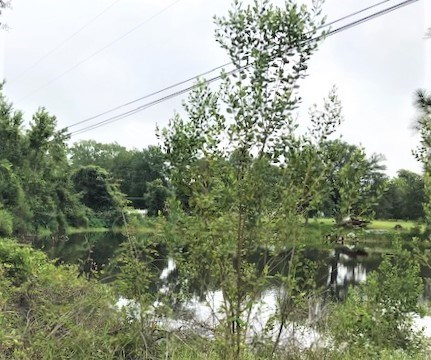0 Enon Road Webb, AL 36376 - Photo 7 of 9