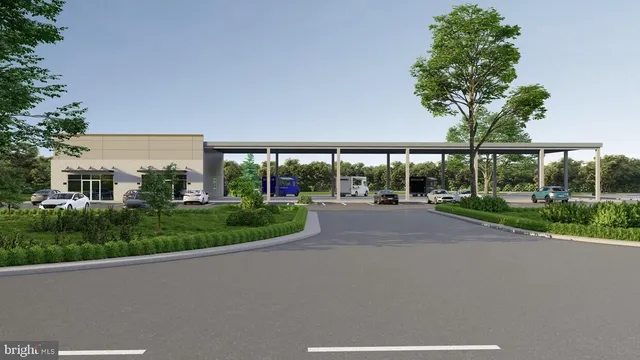 a view of a garden with a large tree