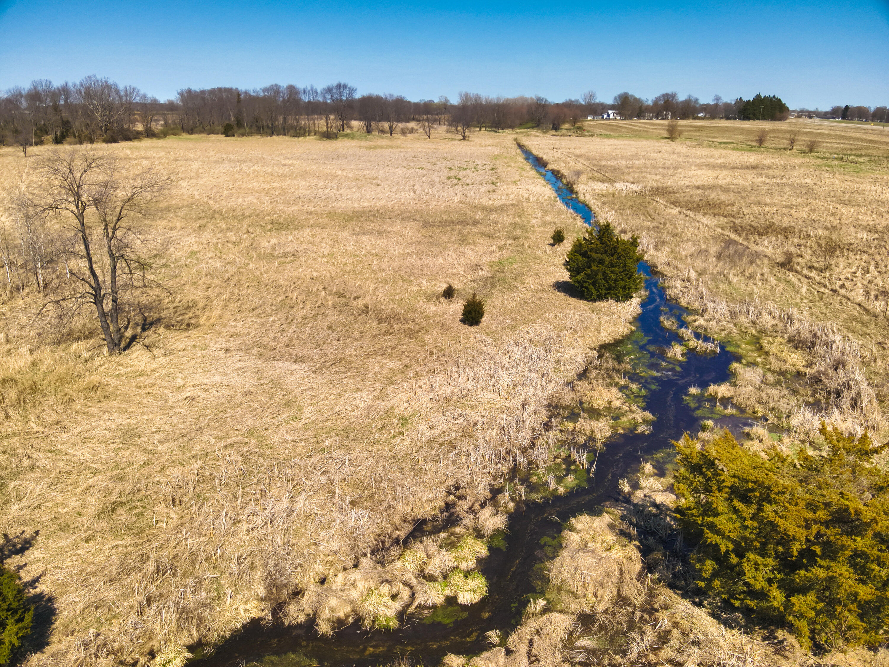 198 West Chicago Road Coldwater, MI 49036 - Photo 16 of 27 Creek East
