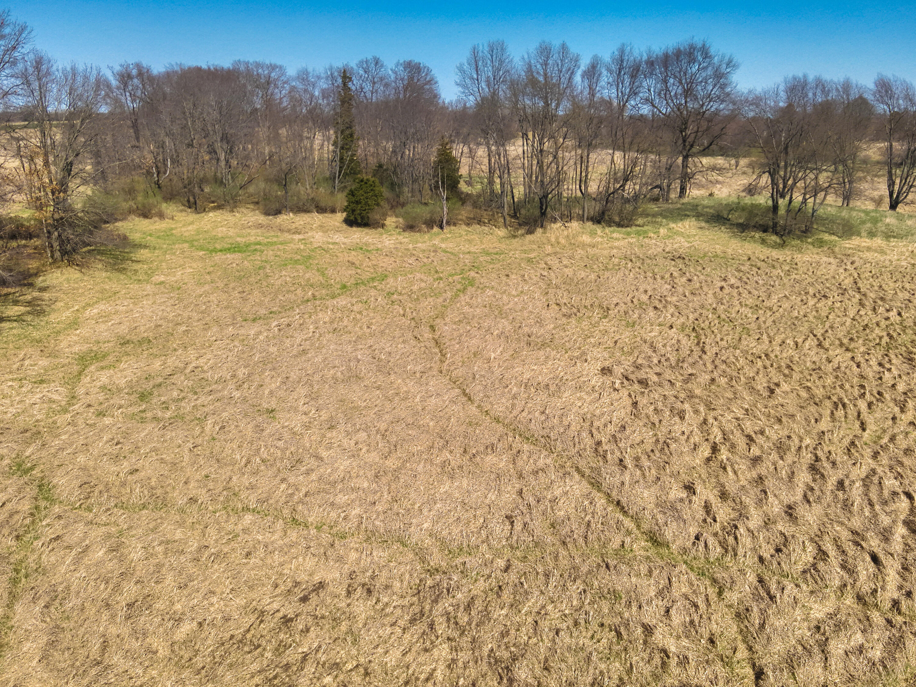 198 West Chicago Road Coldwater, MI 49036 - Photo 21 of 27 Field N Line2