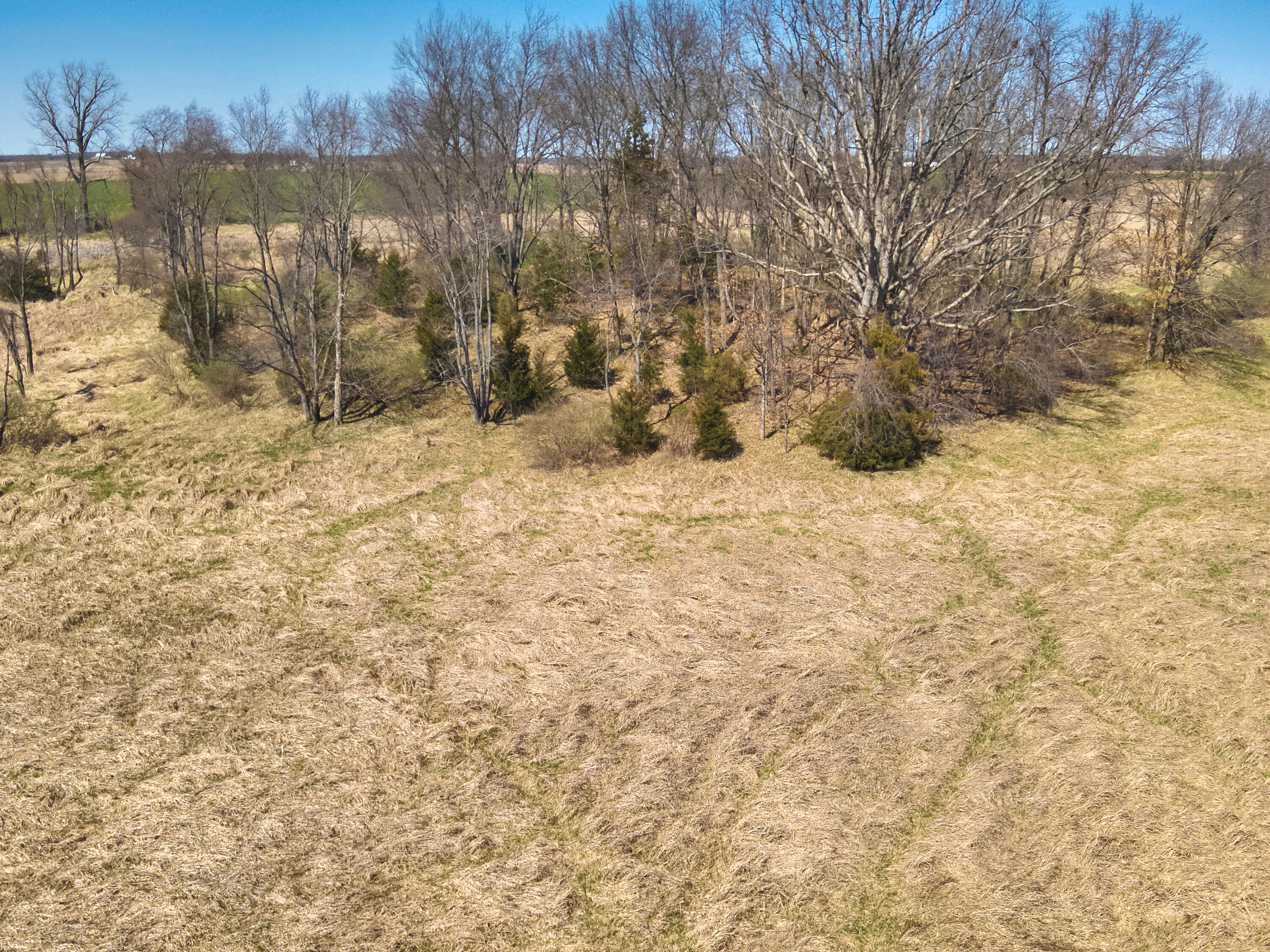 198 West Chicago Road Coldwater, MI 49036 - Photo 22 of 27 Field N Line