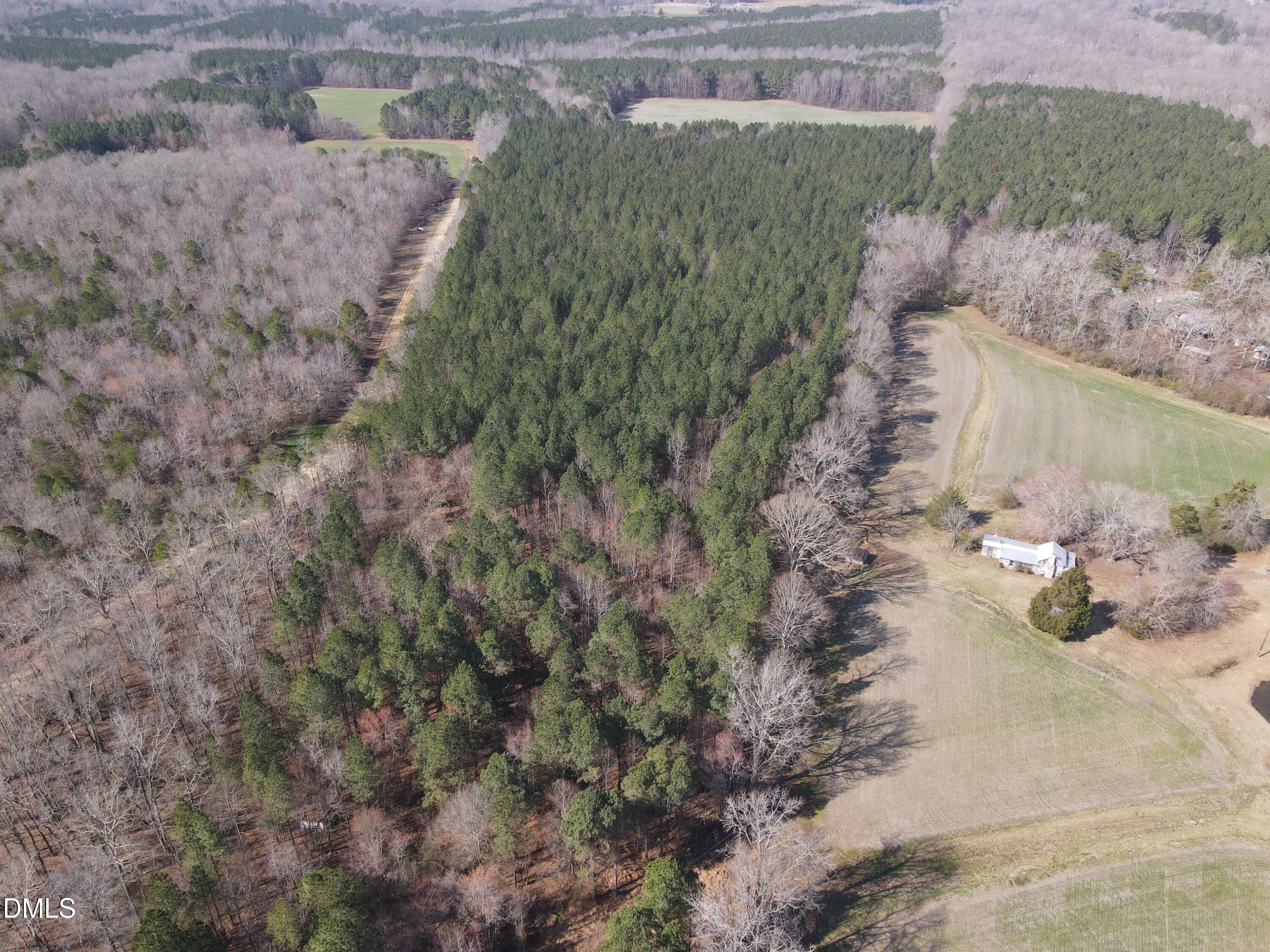 0 Cates Mill Road Roxboro, NC 27574 - Photo 11 of 31 DJI_0766