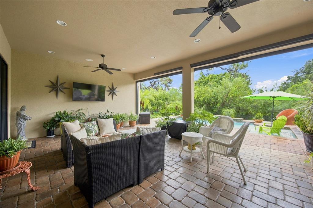 8557 Grand Alberato Road Tampa, FL 33647 - Photo 37 of 55 Gallery Image 37