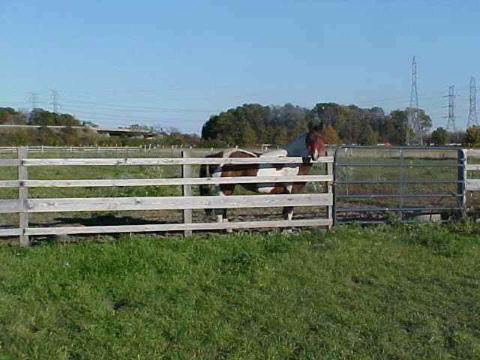 7544 Mentel Road Newport, MI 48166 - Photo 12 of 12 713455-11.JPG