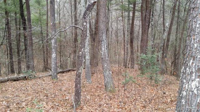 74 Shortoff Road, Unit 74 Marion, NC 28752 - Photo 2 of 11 Gallery Image 2