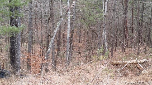 74 Shortoff Road, Unit 74 Marion, NC 28752 - Photo 11 of 11 Gallery Image 11
