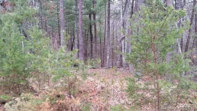 74 Shortoff Road, Unit 74 Marion, NC 28752 - Photo 4 of 11 Gallery Image 4