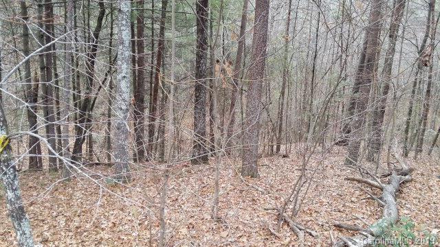 74 Shortoff Road, Unit 74 Marion, NC 28752 - Photo 5 of 11 Gallery Image 5