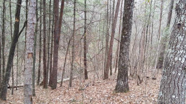 74 Shortoff Road, Unit 74 Marion, NC 28752 - Photo 6 of 11 Gallery Image 6