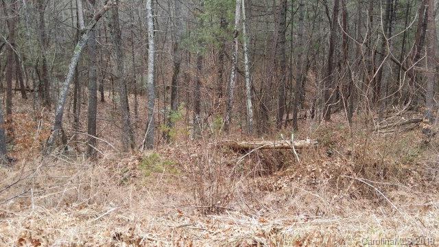 74 Shortoff Road, Unit 74 Marion, NC 28752 - Photo 8 of 11 Gallery Image 8