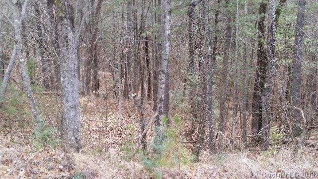 74 Shortoff Road, Unit 74 Marion, NC 28752 - Photo 9 of 11 Gallery Image 9
