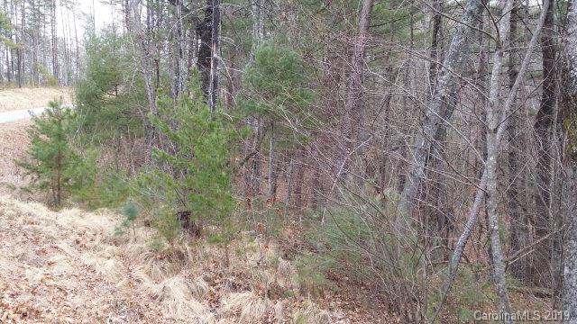 74 Shortoff Road, Unit 74 Marion, NC 28752 - Photo 10 of 11 Gallery Image 10