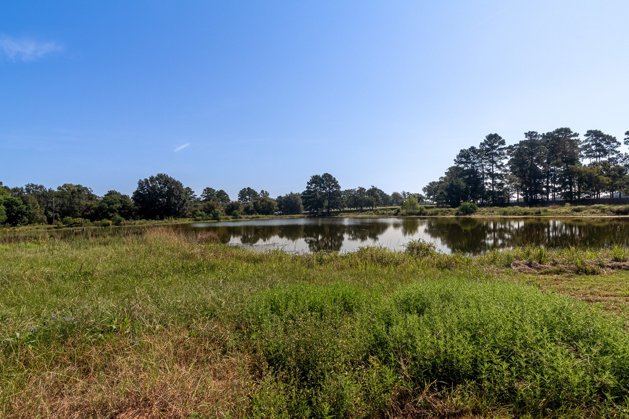 1735 Highway 75 Huntsville, TX 77320 - Photo 10 of 50