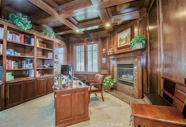 a living room with furniture a bookshelf and a fireplace