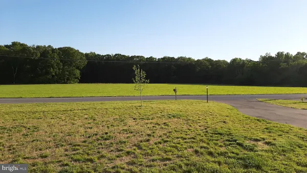 a view of a field with an ocean