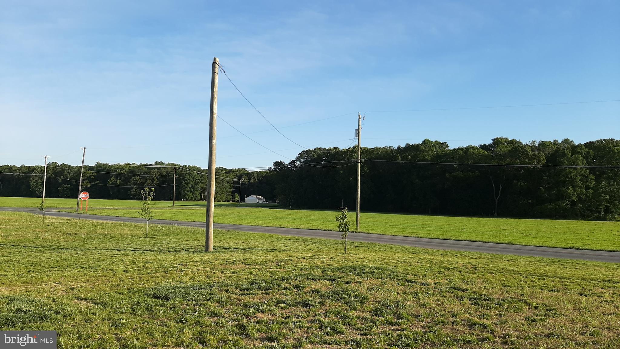 200 Three Bridge Road Monroeville, NJ 08343 - Photo 5 of 27