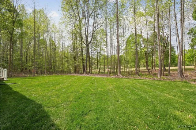 a view of a park with a tree