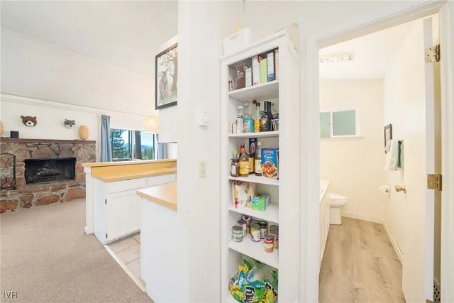 a view of living room with furniture and a fireplace
