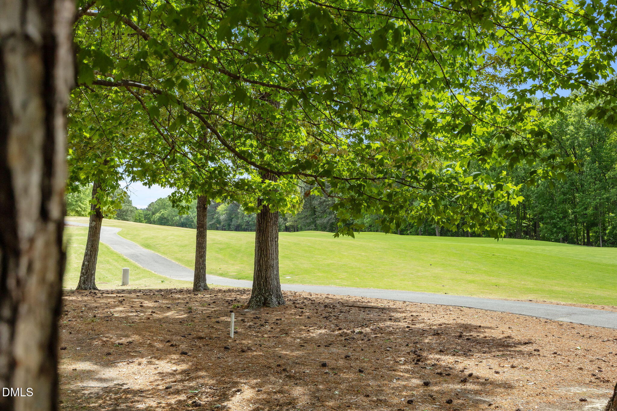 9331 Fawn Lake Drive Raleigh, NC 27617 - Photo 48 of 52 Gallery Image 48
