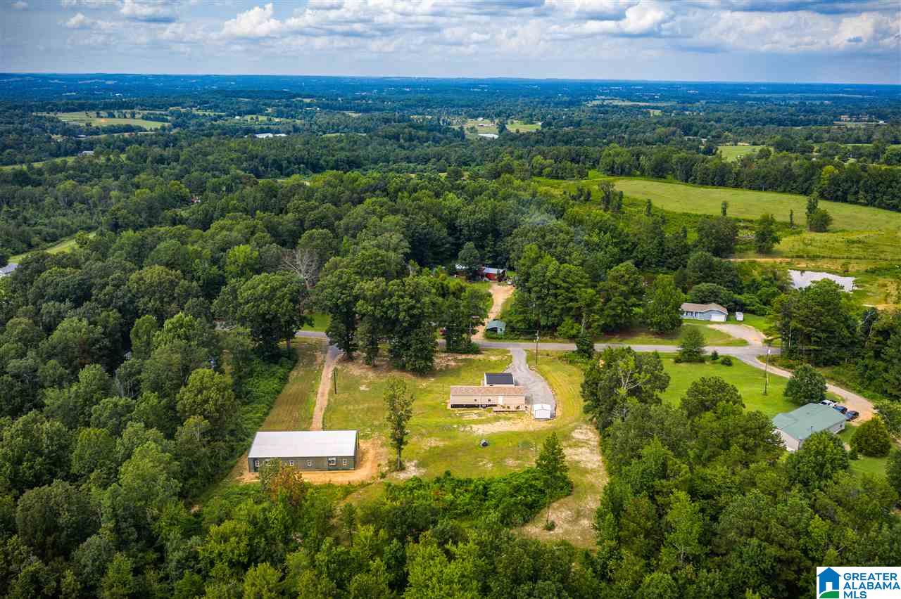 2900 Wilson Chapel Road Altoona, AL 35952 - Photo 39 of 50