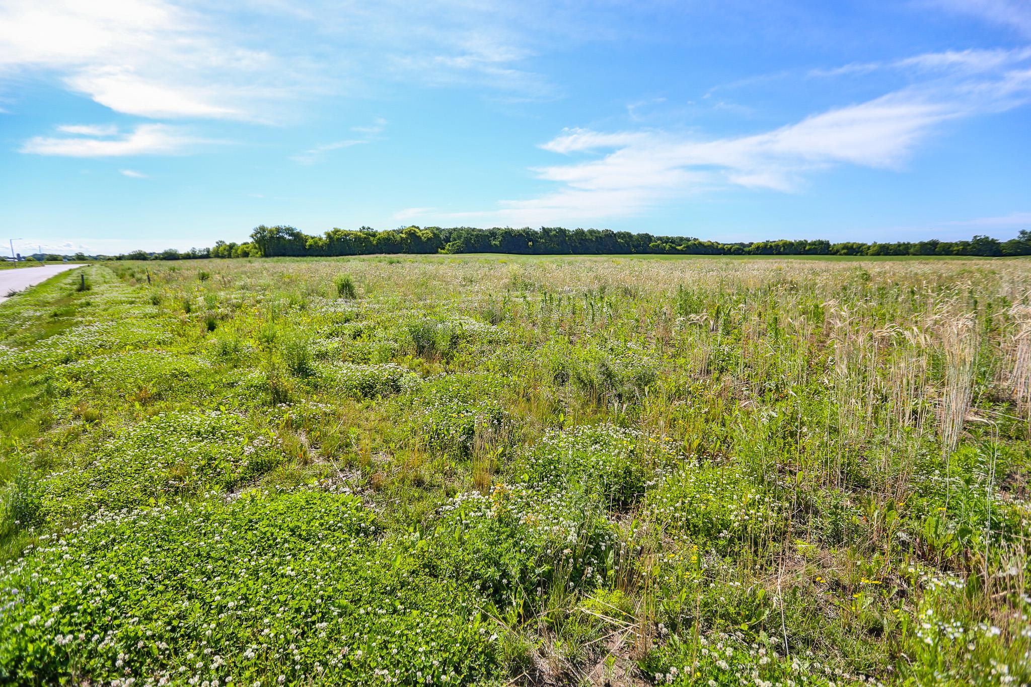 7.47-ac Prosperity Brooklyn, WI 53521 - Photo 8 of 12