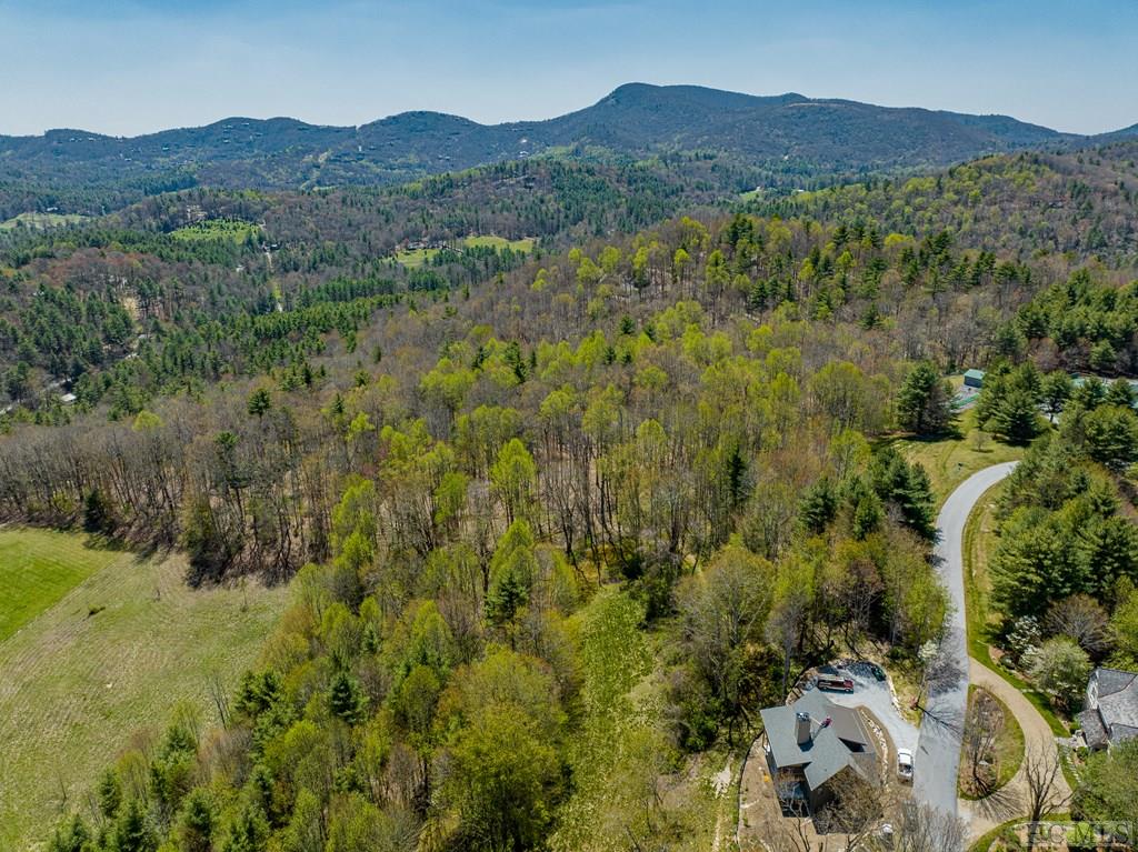Lot 20 Trillium Ridge Road Sapphire, NC 28774 - Photo 12 of 17 Gallery Image 12