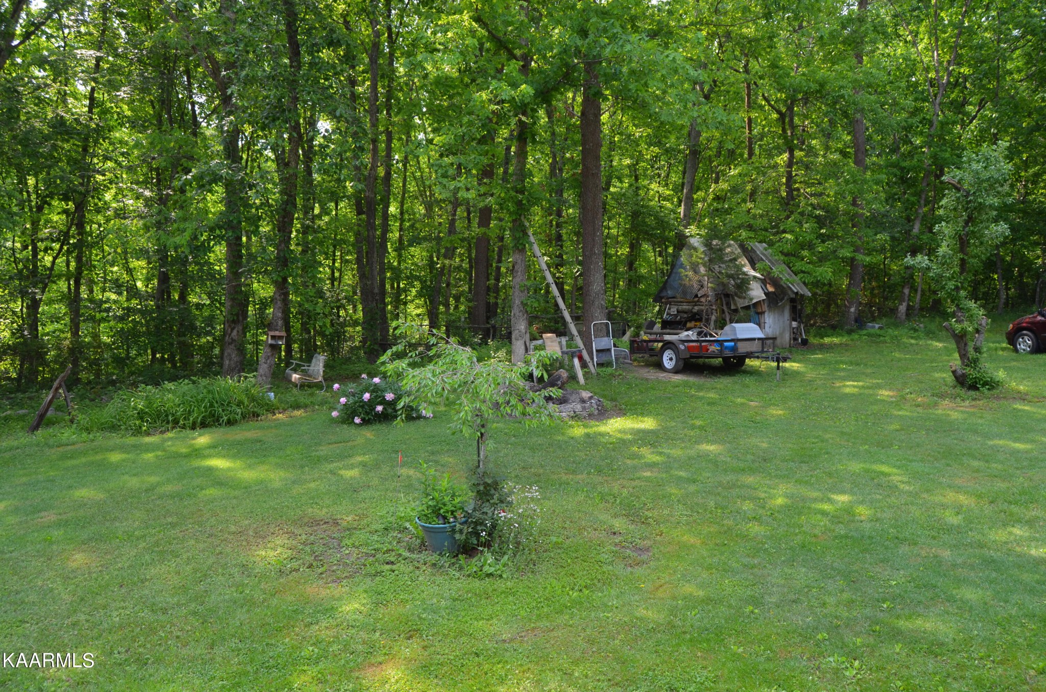 484 Kerrigan Road Crossville, TN 38555 - Photo 21 of 23 a view of a backyard with table and chairs and a large tree