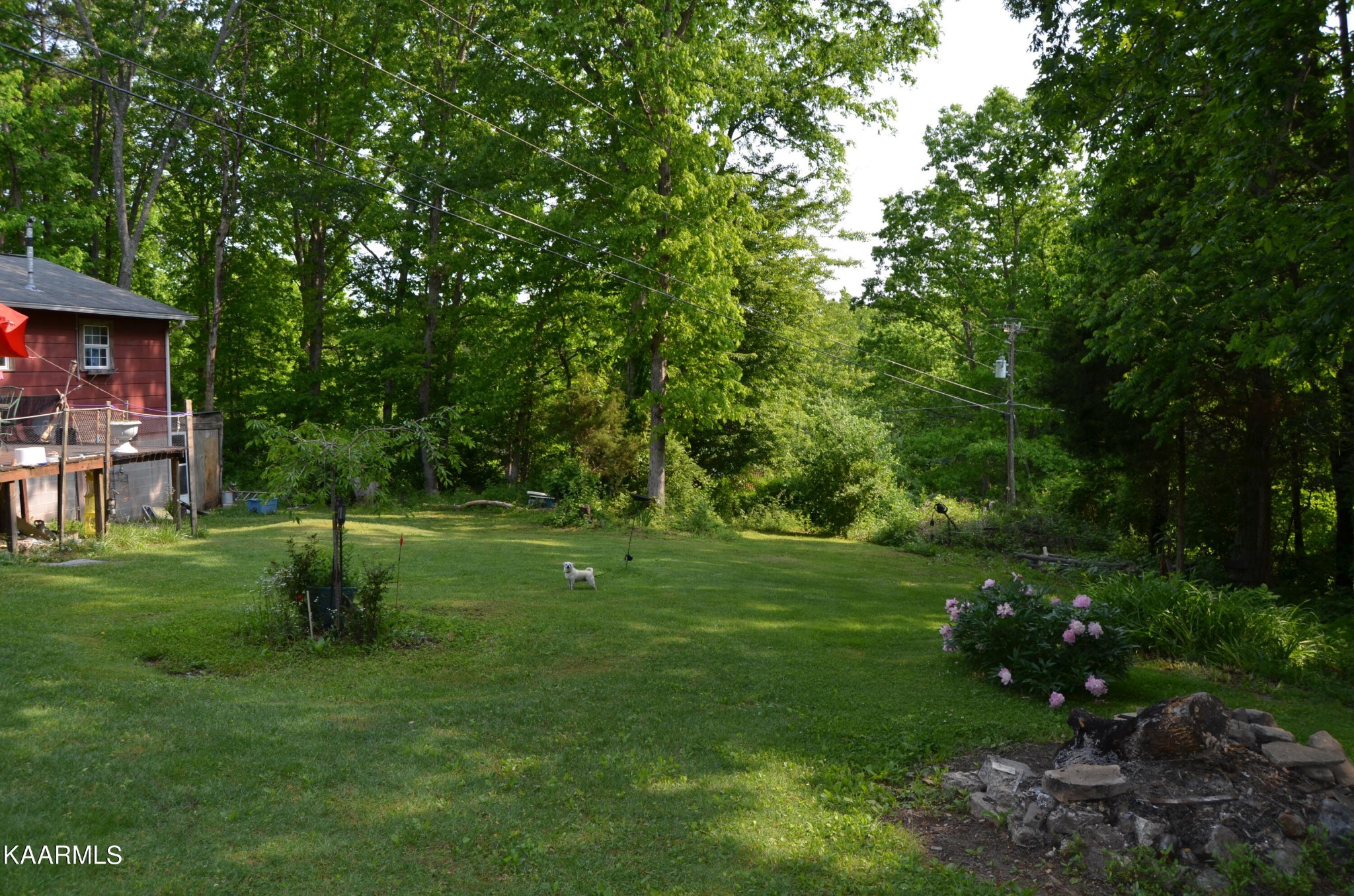 484 Kerrigan Road Crossville, TN 38555 - Photo 22 of 23 a garden view